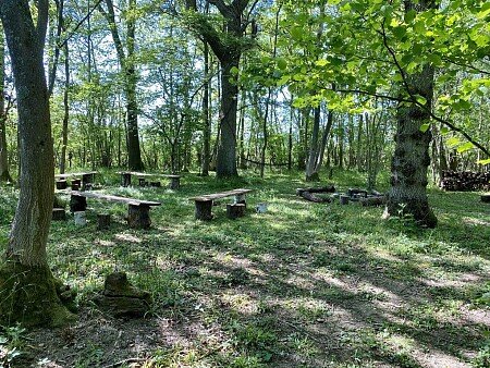 little elses wood 5